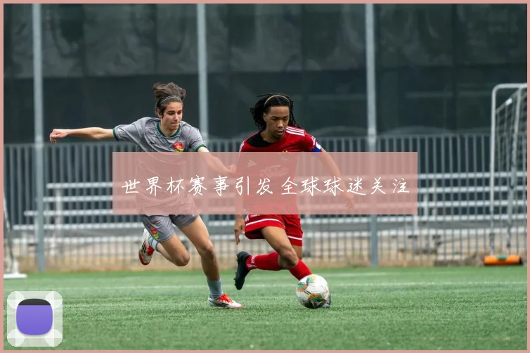 世界杯赛事引发全球球迷关注